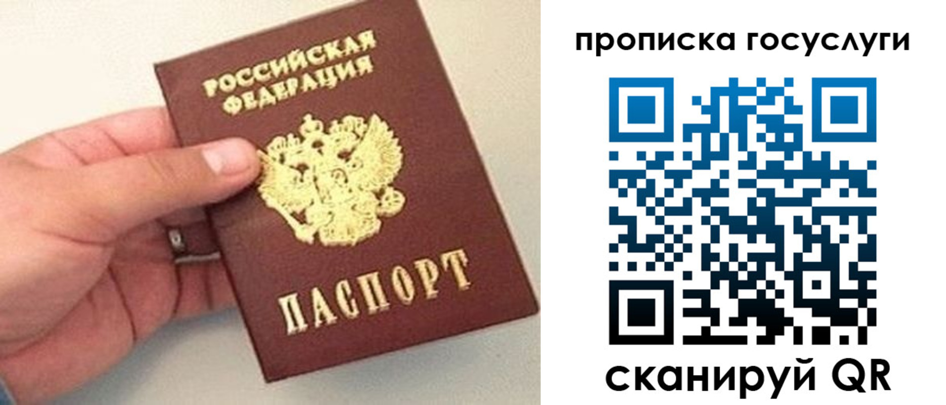где прописаться в Городце